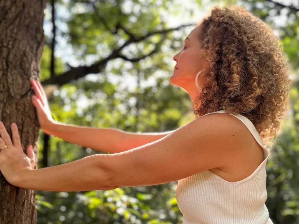 banners paisagem (2)