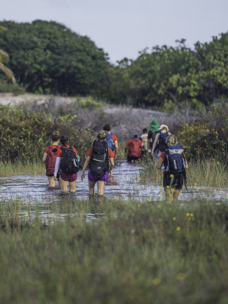 trekking lencoistrip 18